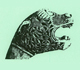 Picture of a miocene man.