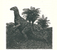 Picture of a dinosaur.