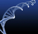 Picture of a DNA strand.