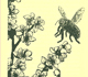 Picture of a honeybee.