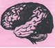 Picture of the human brain.