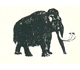 Picture of a rock with a mammoth.