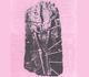 Picture of a miocene man.