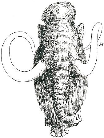 Picture of the Mammoth Picture of the Mammoth