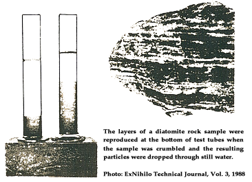 Picture Showing the Layers of a Diatomite Rock Picture Showing the Layers of a Diatomite Rock