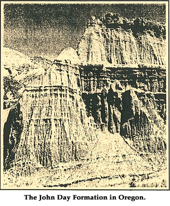 Picture of Geological Marine Sediments Picture of Geological Marine Sediments