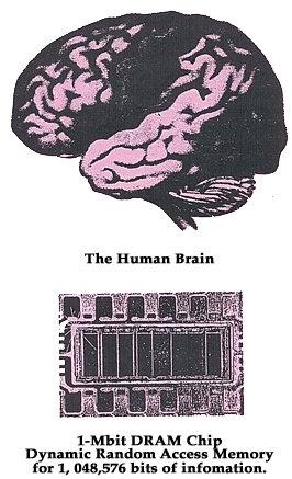 Picture of the Human Brain and a Computer Chip Picture of the Human Brain and a Computer Chip