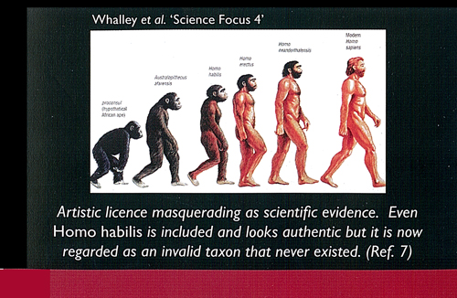 Picture Showing Supposed Progression from Ape to Human Found in Childrens Textbooks Picture Showing Supposed Progression from Ape to Human Found in Childrens Textbooks