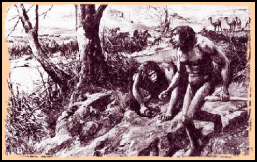 Picture 3: A Supposed Ancestor of Humans Picture 3: A Supposed Ancestor of Humans