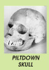 Picture 2: A Supposed Ancestor Called Piltdown Man