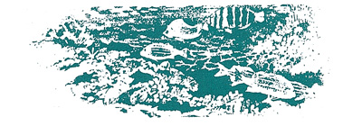Picture of Fish in the Ocean Picture of Fish in the Ocean