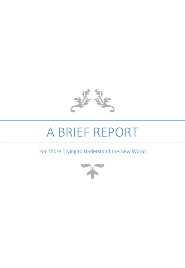 A Brief Report For Those Trying To Understand The New World: Page 1