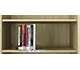 Icon of the Bookshelf of Books About End Times (Bible Prophecy)
