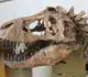 Visit the Creation Resources Trust website